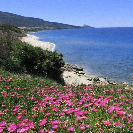 Residenza Sul Mare Aparthotel Valledoria  Luaran gambar