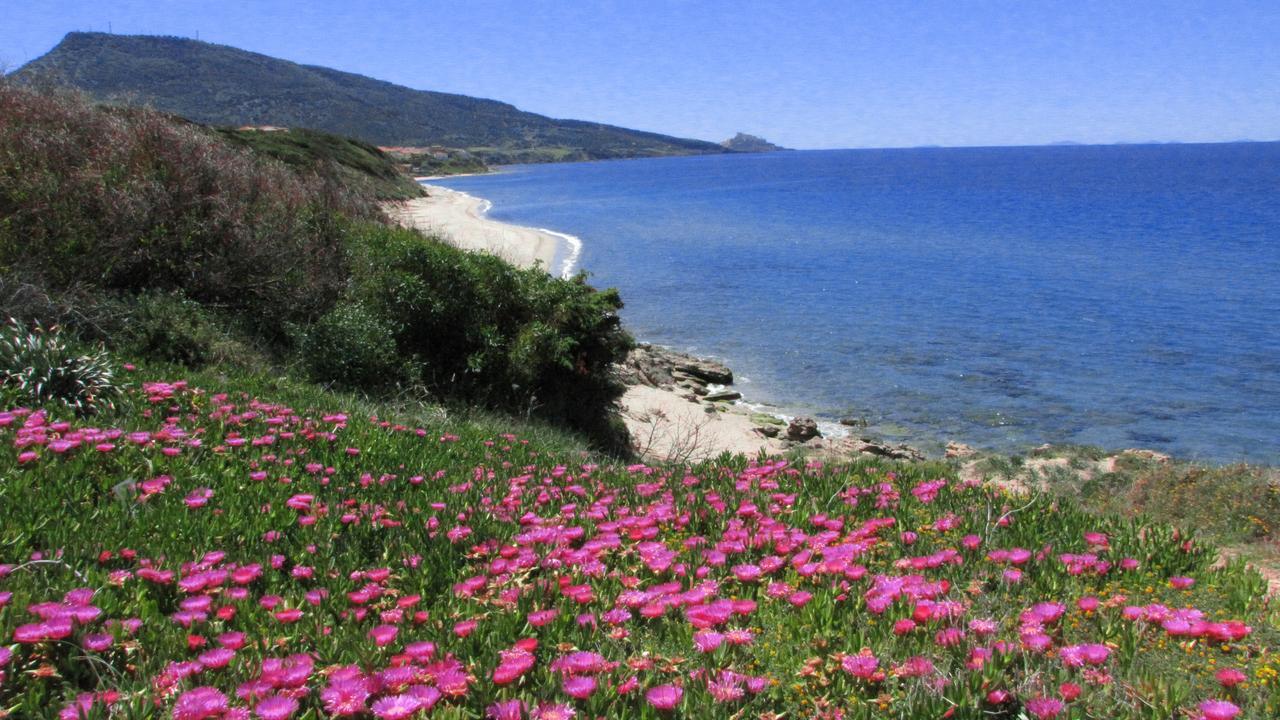 Residenza Sul Mare Aparthotel Valledoria  Luaran gambar